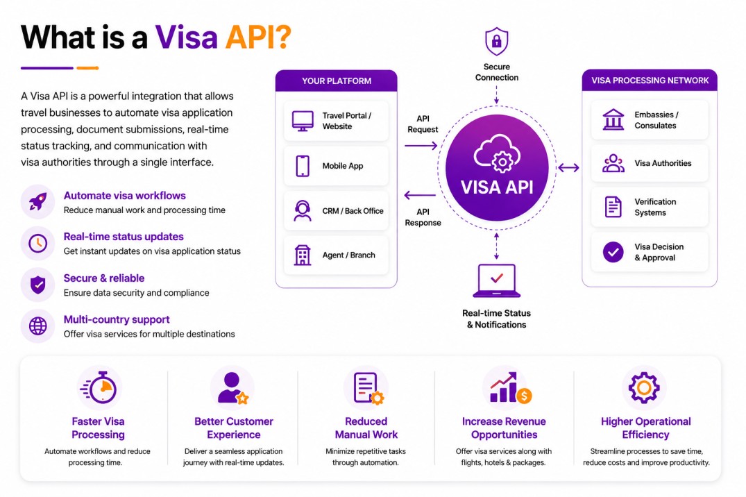 What is a Visa API?